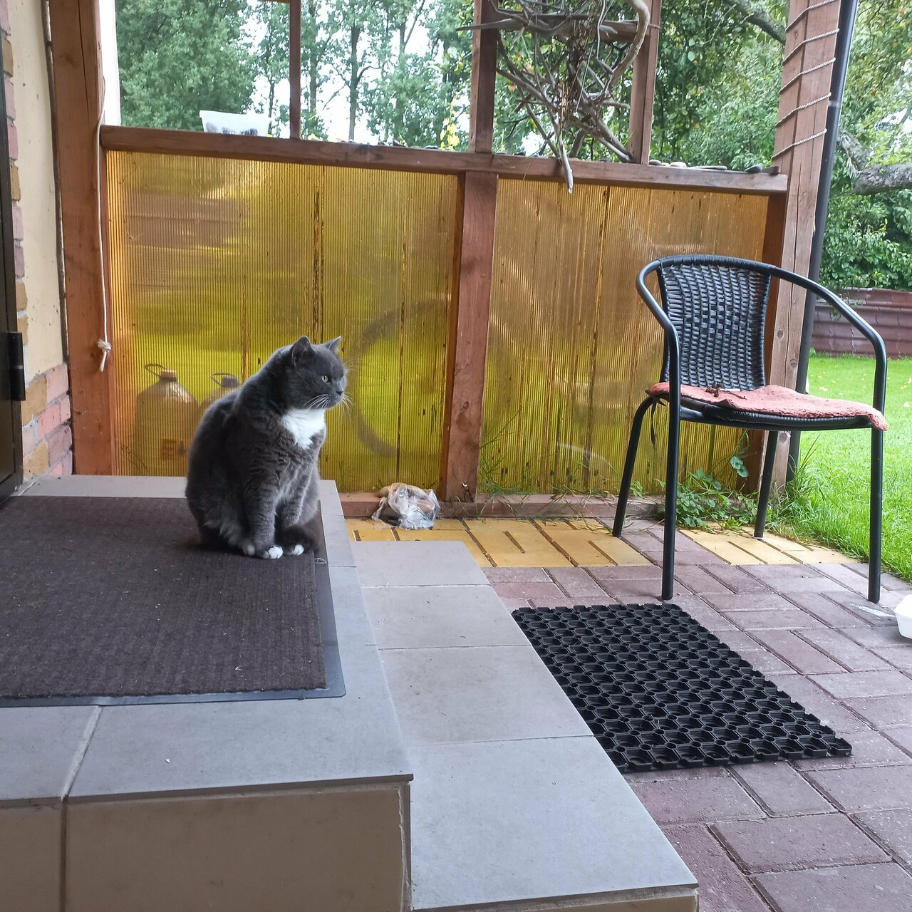 Гостевой дом Зеленый Сад Рыбачий-15